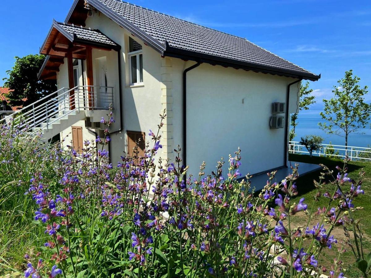 Xhuli Guesthouse Shkoder Bagian luar foto