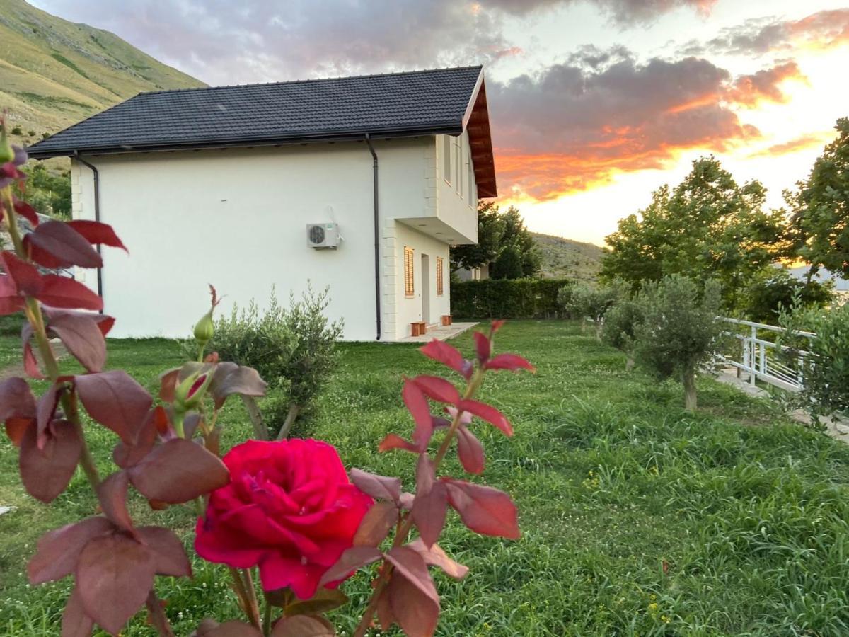 Xhuli Guesthouse Shkoder Bagian luar foto