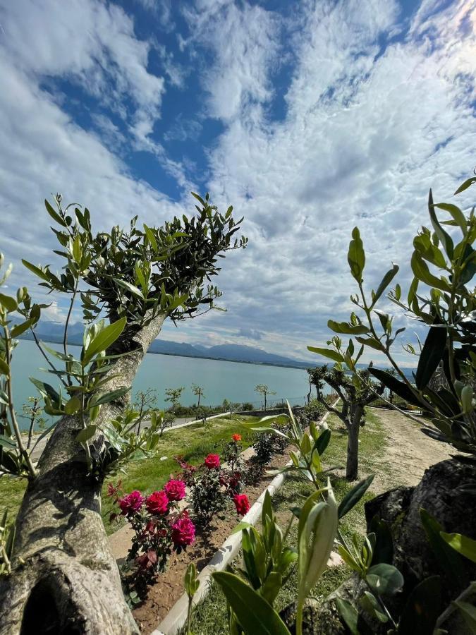 Xhuli Guesthouse Shkoder Bagian luar foto