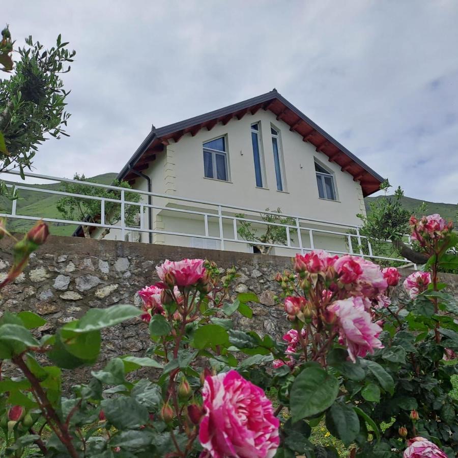 Xhuli Guesthouse Shkoder Bagian luar foto