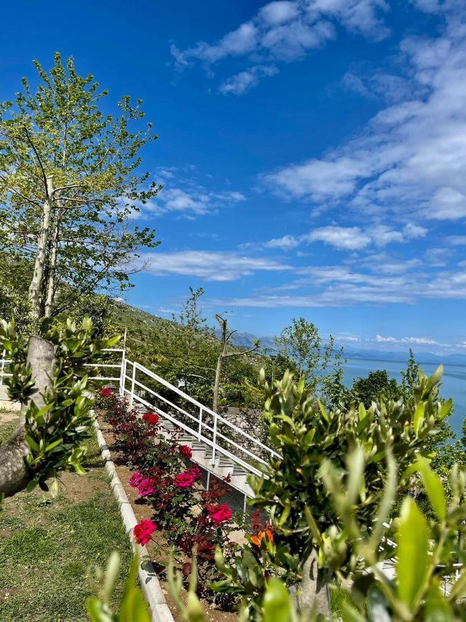 Xhuli Guesthouse Shkoder Bagian luar foto